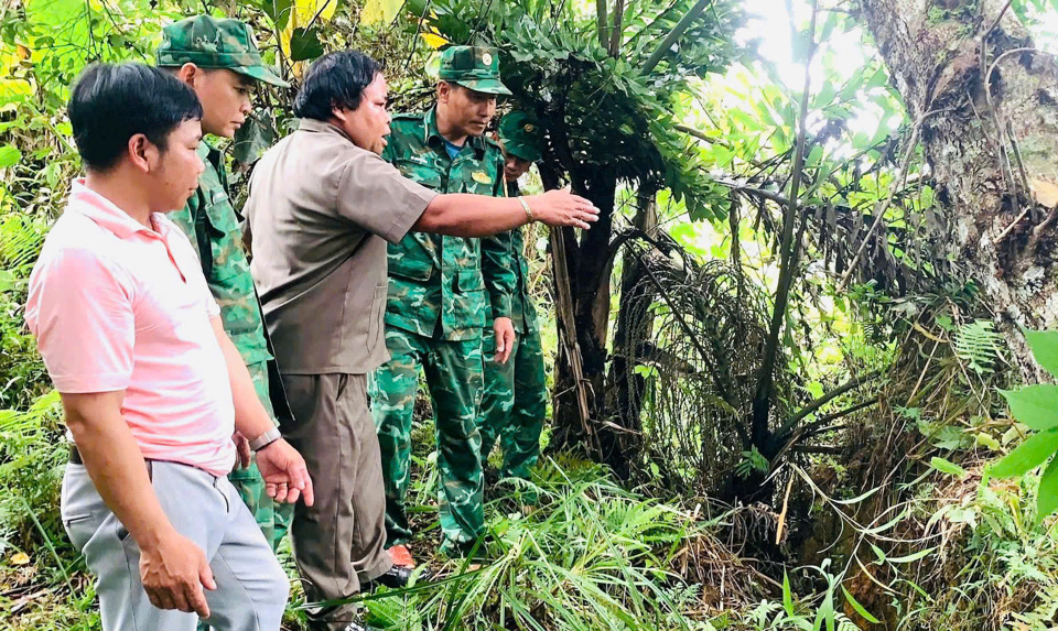 Với địa h&igrave;nh đồi n&uacute;i, huyện T&acirc;y Giang đứng trước nguy cơ cao bị sạt lở sau diễn biến thời tiết li&ecirc;n tục c&oacute; mưa. Nhiều hộ d&acirc;n đ&atilde; phải di dời đến nơi an to&agrave;n.