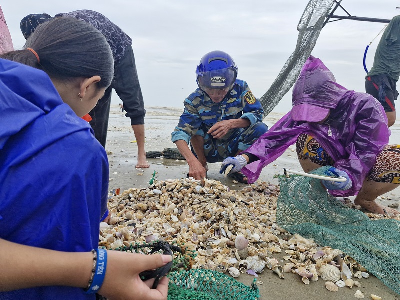 Sau khi vớt l&ecirc;n, mọi người lựa chọn những con c&ograve;n sống để l&agrave;m thức ăn hoặc đem đi ti&ecirc;u thụ