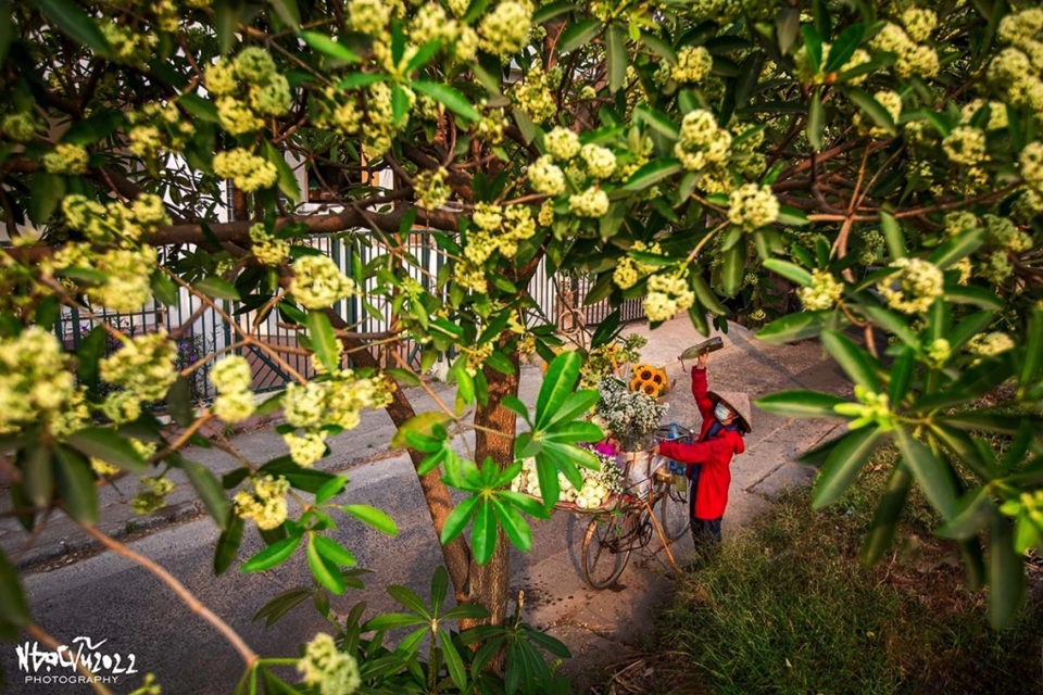 H&agrave; Nội đẹp đến nao l&ograve;ng trong khoảnh khắc cuối thu, chớm đ&ocirc;ng. (Ảnh: Ngọc Vũ)