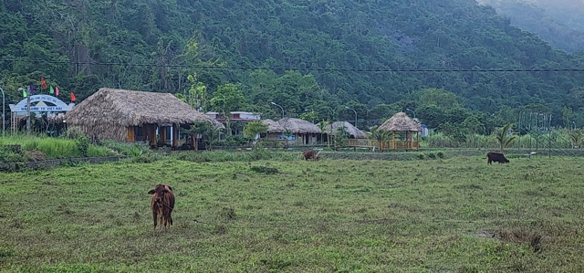 Khung cảnh l&agrave;ng qu&ecirc; y&ecirc;n b&igrave;nh. Ảnh Tiến Bảo