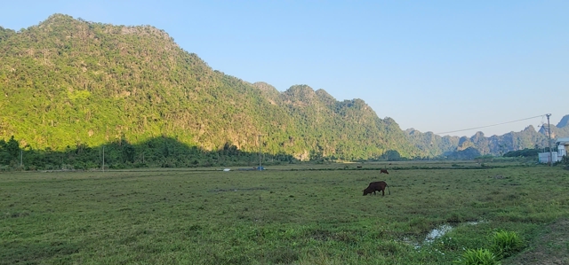 L&agrave;ng Việt Hải vẫn giữ nguy&ecirc;n vẻ đẹp sau h&agrave;ng trăm năm. Ảnh Tiến Bảo