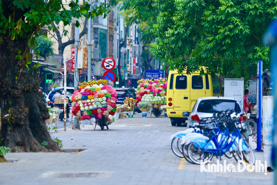 Hệ thống phương tiện c&ocirc;ng cộng xe đạp, xe bu&yacute;t phục vụ du kh&aacute;ch tham quan đều được bố tr&iacute; ngay b&ecirc;n ngo&agrave;i khu vực vườn hoa L&yacute; Tự Trọng.