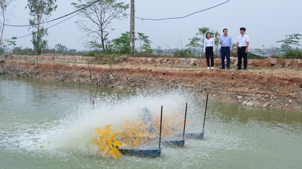 M&ocirc; h&igrave;nh nu&ocirc;i trồng thuỷ sản mang lại gi&aacute; trị kinh tế cao tại x&atilde; Vạn Thắng.