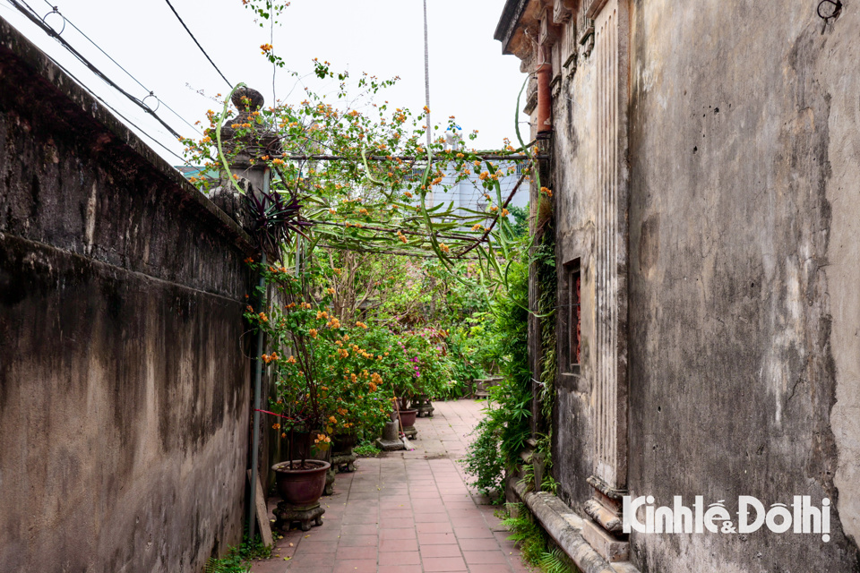 Hà Nội: ngắm nhìn ngôi làng cổ kính yên bình nằm bên bờ sông Hồng - Ảnh 6