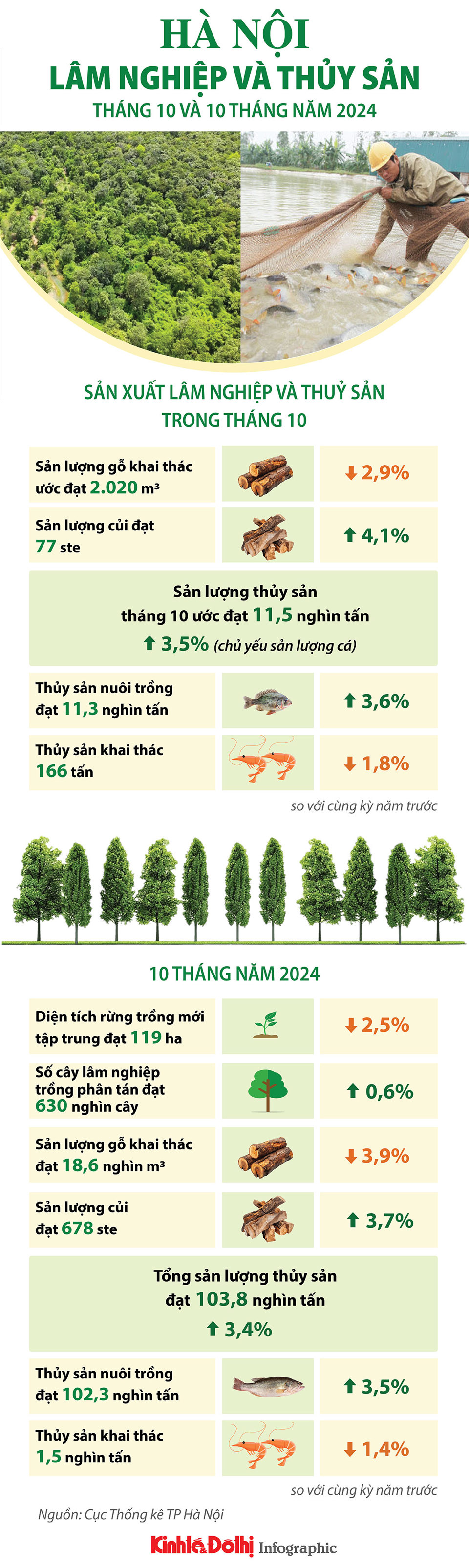 Hà Nội: sản xuất lâm nghiệp và thủy sản tháng 10 và 10 tháng năm 2024 - Ảnh 1