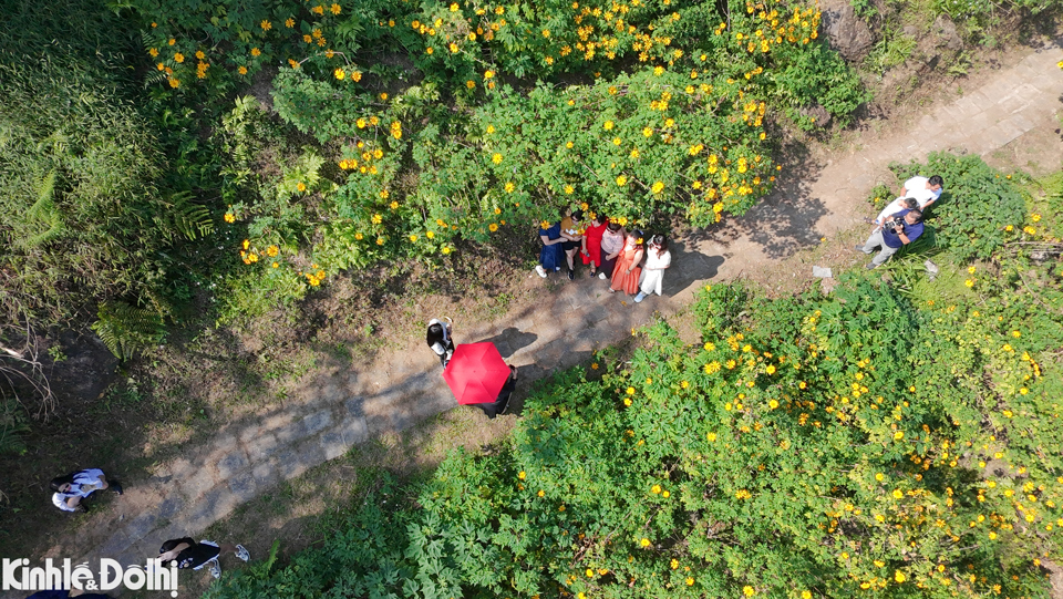 Vườn quốc gia Ba V&igrave; c&aacute;ch trung t&acirc;m H&agrave; Nội khoảng 60km. Nơi đ&acirc;y được biết đến với lo&agrave;i hoa d&atilde; quỳ bung nở, khoe sắc v&agrave;ng rực rỡ đầy sức sống v&agrave;o th&aacute;ng 11.