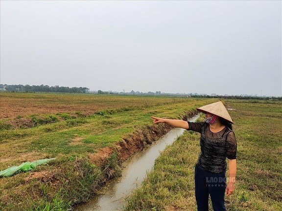 Đầu tư mua đất n&ocirc;ng nghiệp để l&ecirc;n thổ cư l&atilde;i hay lỗ l&agrave; băn khoăn của nhiều người. Ảnh: Phan Anh