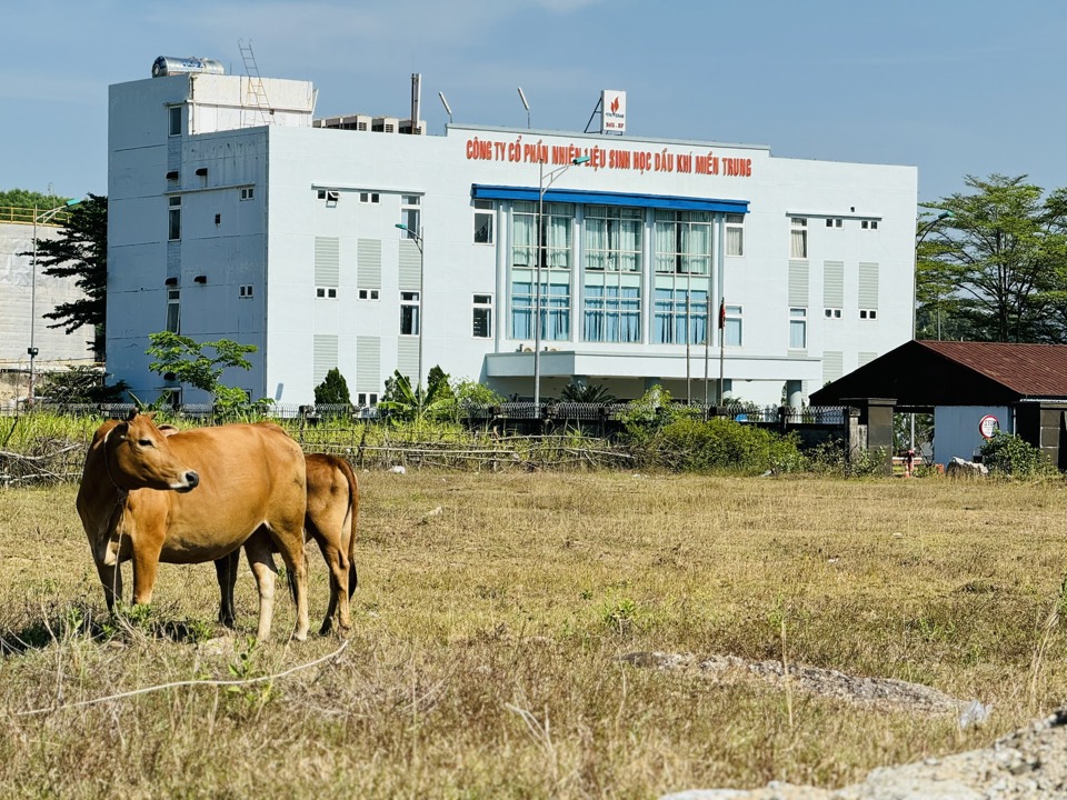 Hiện nay, Nh&agrave; m&aacute;y Ethanol Dung Quất rơi v&agrave;o t&igrave;nh trạng hoang vắng.