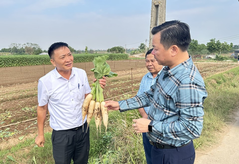 Ph&oacute; Chủ tịch&nbsp;Thường trực Ủy ban Mặt trận Tổ quốc TP H&agrave; Nội Nguyễn Sỹ Trường t&igrave;m hiểu sản phẩm của Hợp t&aacute;c x&atilde; dịch vụ tổng hợp Đ&ocirc;ng Cao (x&atilde; Tr&aacute;ng Việt, huyện M&ecirc; Linh)