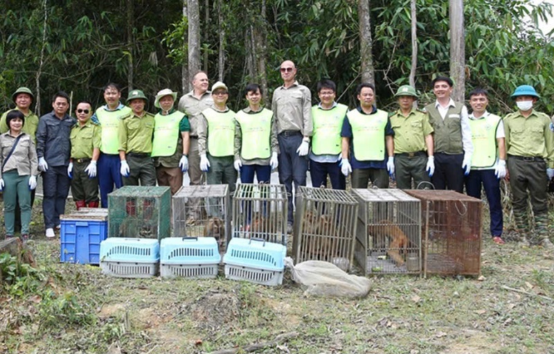 Vườn Quốc gia Vũ Quang t&aacute;i thả nhiều động vật qu&yacute; hiếm về m&ocirc;i trường tự nhi&ecirc;n