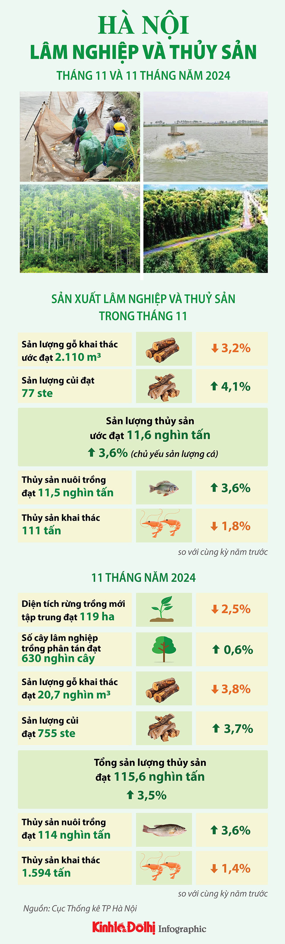 Hà Nội: lâm nghiệp và thủy sản tiếp tục đà tăng trưởng - Ảnh 1