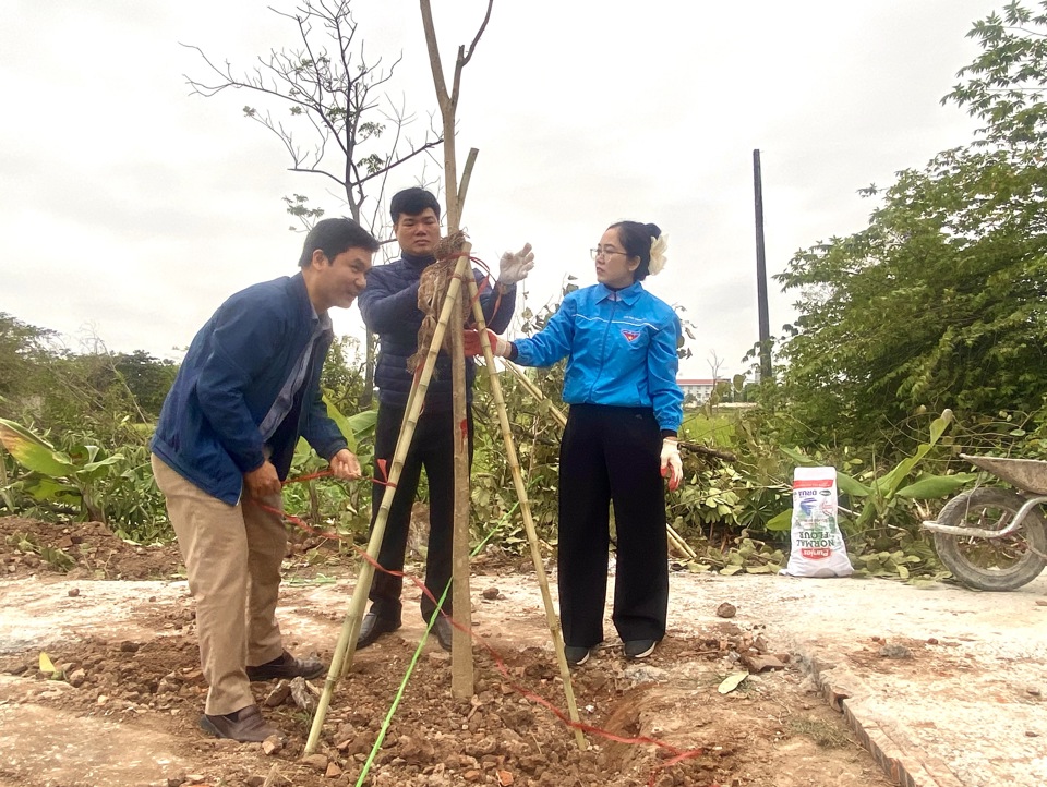 C&aacute;c lực lượng tham gia trồng c&acirc;y tại nghĩa trang th&ocirc;n Vĩnh Trung.