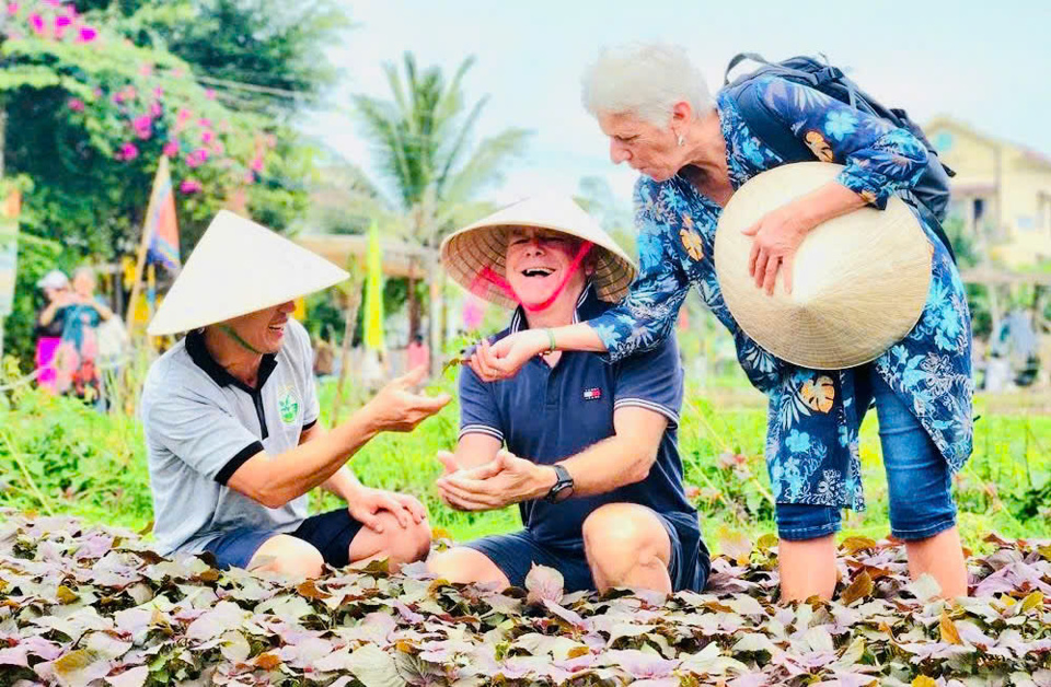 L&agrave;ng rau Tr&agrave; Quế, TP Hội An, tỉnh Quảng Nam được c&ocirc;ng nhận l&agrave; L&agrave;ng Du lịch tốt nhất năm 2024.