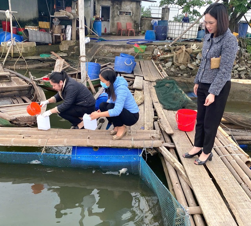 Chi cục Thủy sản H&agrave; Tĩnh v&agrave; c&aacute;c cơ quan chuy&ecirc;n m&ocirc;n tiến h&agrave;nh kiểm tra, lấy mẫu nước tại hồ nu&ocirc;i c&aacute; chim v&acirc;y v&agrave;ng bị chết h&agrave;ng loạt