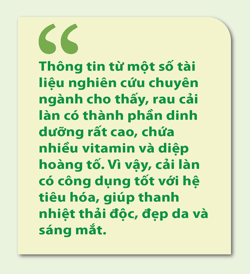 Ngọt giòn cải làn Tân Liên - Ảnh 4