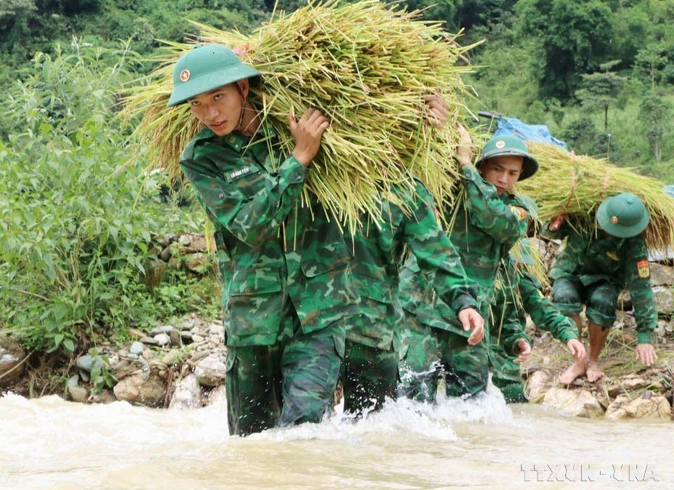 Chiến sỹ tiểu đo&agrave;n huấn luyện-cơ động, Bộ Chỉ huy Bộ đội Bi&ecirc;n ph&ograve;ng tỉnh Lai Ch&acirc;u xuống đồng gi&uacute;p b&agrave; con thu hoạch l&uacute;a "chạy mưa." (Ảnh: Nguyễn Oanh/TTXVN)