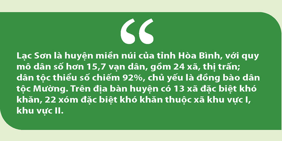 Khởi sắc nông thôn mới Lạc Sơn - Ảnh 6