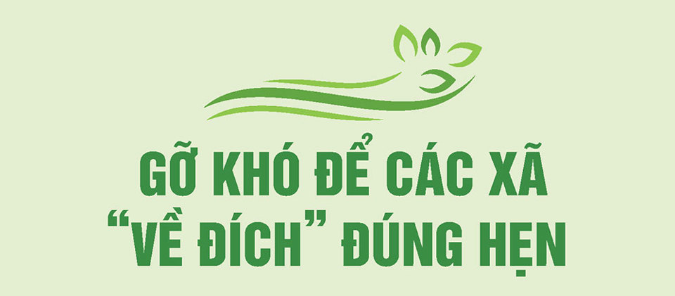 Khởi sắc nông thôn mới Lạc Sơn - Ảnh 10