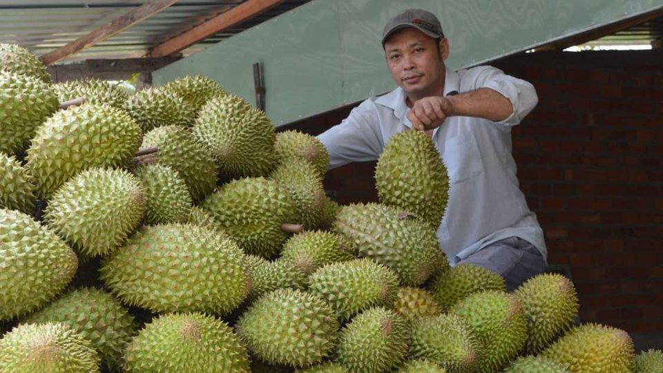 Tin tức kinh tế 28/12: cuối năm trái sầu riêng tăng giá ở mức kỉ lục. Ảnh minh họa.