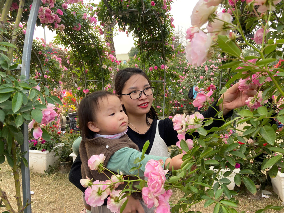 Du khách ùn ùn đổ về Festival hoa Mê Linh dịp cuối tuần - Ảnh 3