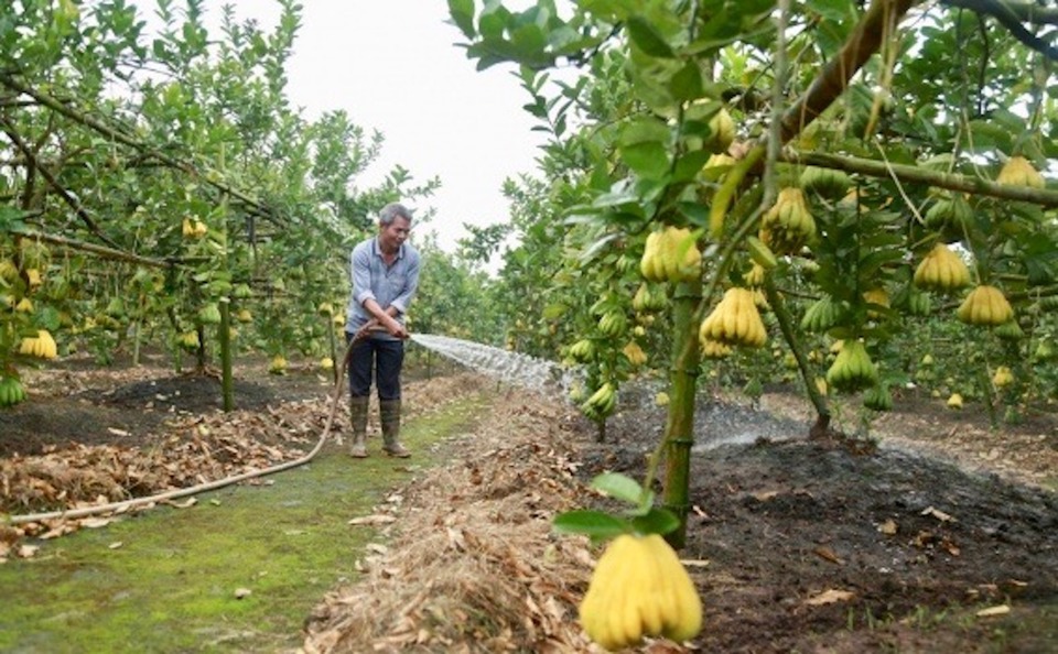 C&ugrave;ng với kết quả x&acirc;y dựng n&ocirc;ng th&ocirc;n mới tại c&aacute;c huyện, x&atilde;, đời sống của người d&acirc;n khu vực n&ocirc;ng th&ocirc;n H&agrave; Nội kh&ocirc;ng ngừng được n&acirc;ng cao. Đến hết năm 2024, to&agrave;n TP đ&atilde; kh&ocirc;ng c&ograve;n hộ ngh&egrave;o.