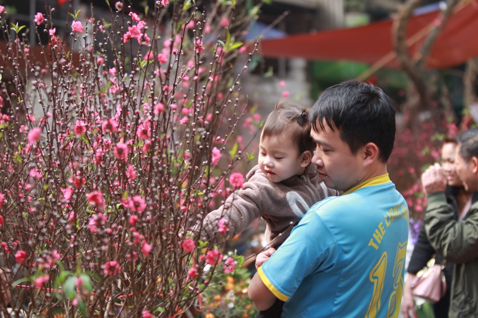 Người dân tham quan mua đào tại chợ hoa Tết phố cổ Hà Nội.