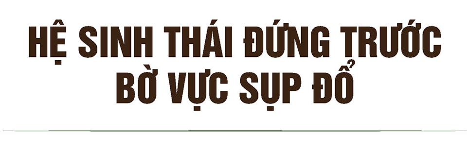 Bài 3: Khi những dòng sông ngừng “thở” - Ảnh 7