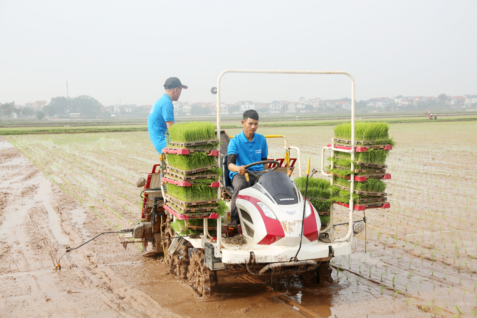 Thời vụ gieo cấy lúa Xuân hoàn thành trong tháng 2-2025 nên người dân chủ động lấy nước vào ruộng và cấy đúng thời vụ. Ảnh: Công Hùng