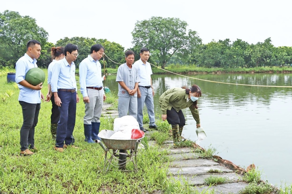 M&ocirc; h&igrave;nh nu&ocirc;i trồng thủy sản tại huyện Mỹ Đức. Ảnh: Thu Phượng