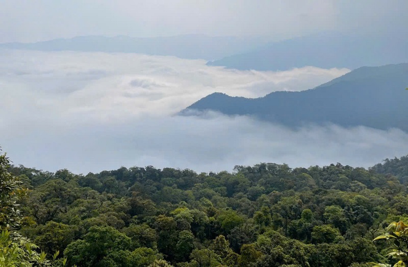 Vườn Quốc gia Vũ Quang, được c&ocirc;ng nhận l&agrave; &ldquo;Vườn Di sản ASEAN&rdquo; v&agrave;o năm 2019. Nơi đ&acirc;y t&iacute;nh đa dạng sinh học cao, hệ động, thực vật rất phong ph&uacute; đa dạng