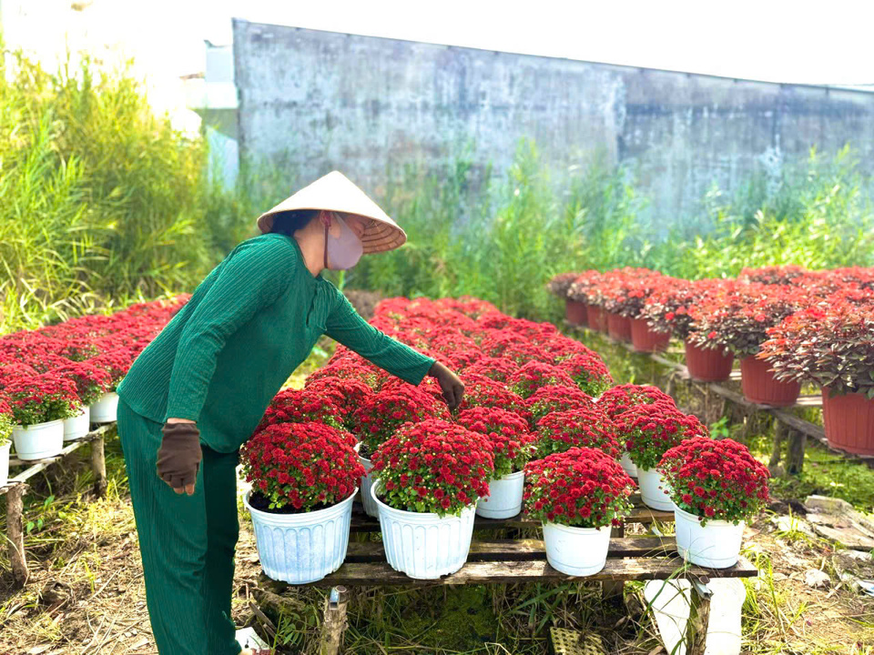 Thời điểm n&agrave;y, l&agrave;ng hoa như một thế giới hoa rực rỡ, thu h&uacute;t du kh&aacute;ch bởi h&agrave;ng trăm lo&agrave;i hoa đua nhau khoe sắc.