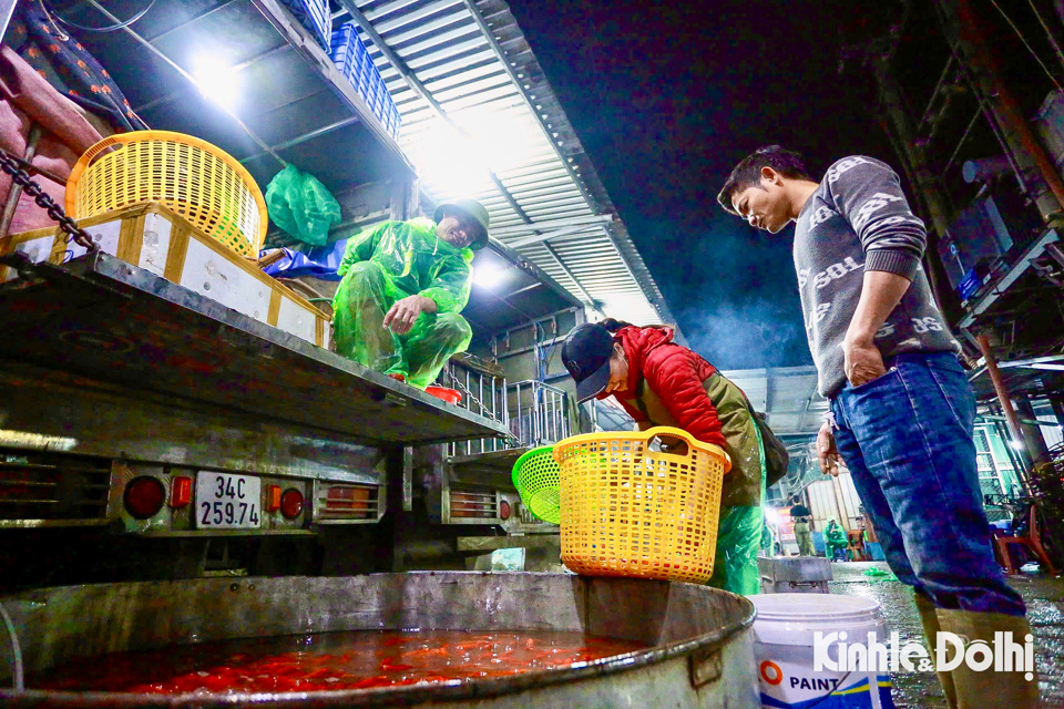 Mỗi đ&ecirc;m, h&agrave;ng trăm tiểu thương đổ về để gom mua c&aacute; ch&eacute;p đỏ, sau đ&oacute; ph&acirc;n phối lại cho c&aacute;c chợ d&acirc;n sinh, si&ecirc;u thị tại Thủ đ&ocirc; để phục vụ người d&acirc;n mua c&aacute; ch&eacute;p c&uacute;ng ng&agrave;y &ocirc;ng C&ocirc;ng &ocirc;ng T&aacute;o.