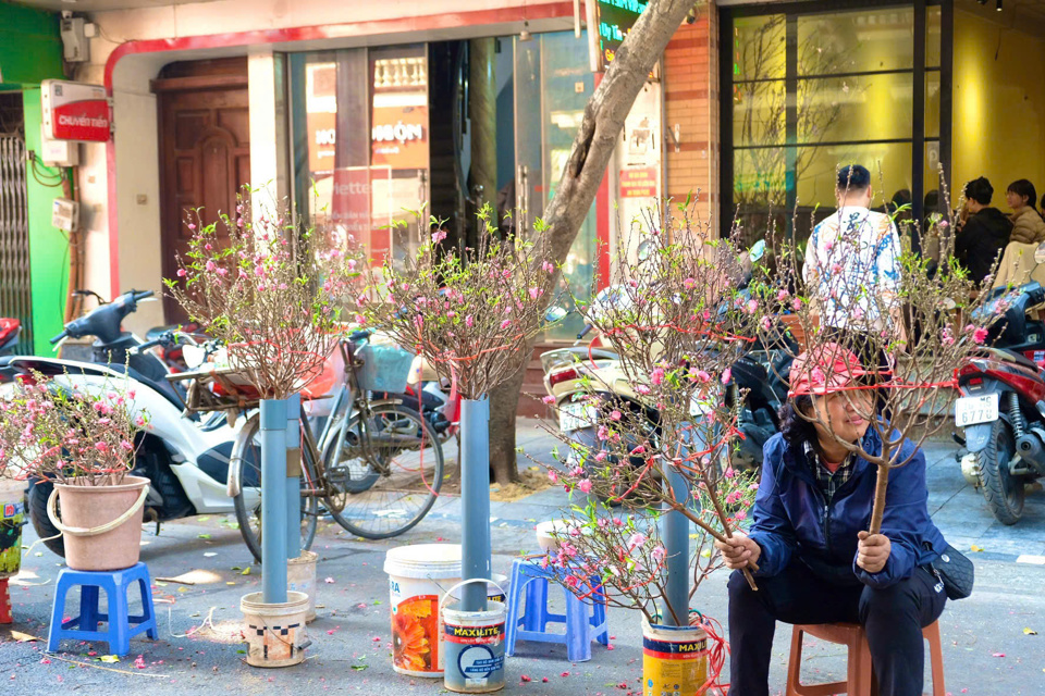 Chợ hoa H&agrave;ng Lược đ&atilde; trở th&agrave;nh điểm hẹn quen thuộc từ ng&agrave;y 15 - 30 th&aacute;ng Chạp &acirc;m lịch h&agrave;ng năm. Ảnh: Cẩm T&uacute;