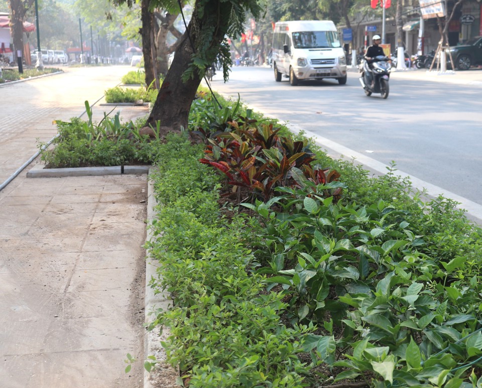 Dự &aacute;n hạ thấp tường r&agrave;o tạo kh&ocirc;ng gian mở khu vực C&ocirc;ng vi&ecirc;n Tuổi trẻ Thủ đ&ocirc; (Quận Hai B&agrave; Trưng) gồm c&aacute;c hạng mục: cải tạo, chỉnh trang h&egrave;, b&oacute; bồn c&acirc;y, trồng c&acirc;y xanh, lắp đặt hệ thống điện chiếu s&aacute;ng&hellip;