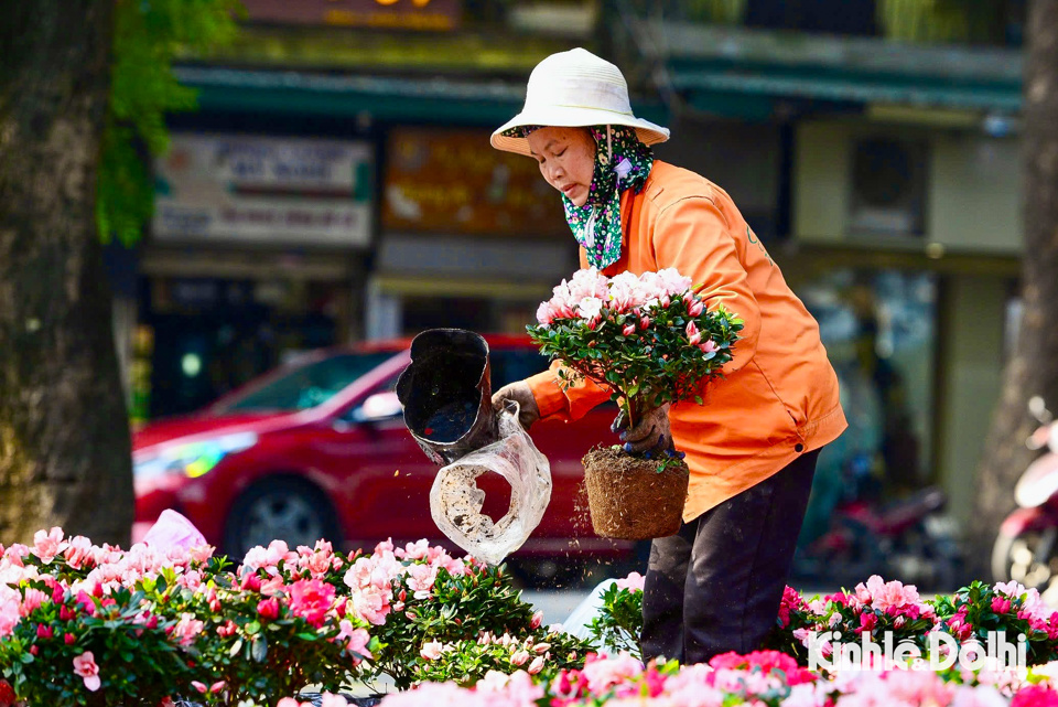 Hà Nội: phố phường trang hoàng, cờ hoa tấp nập đón Xuân Ất Tỵ 2025 - Ảnh 1