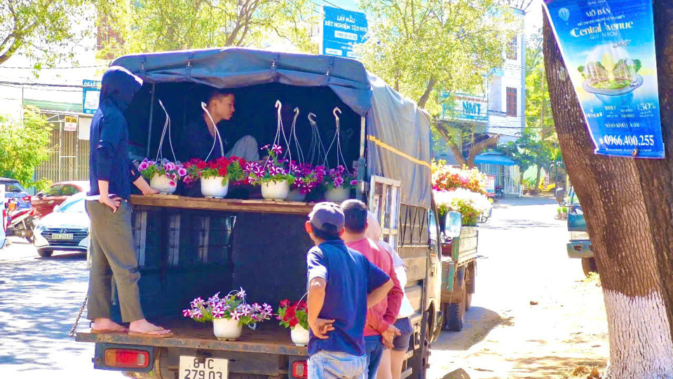 Chậu hoa nhỏ được c&aacute;c thương l&aacute;i chọn nhiều bởi gi&aacute; ph&ugrave; hợp với kh&aacute;ch h&agrave;ng hơn.