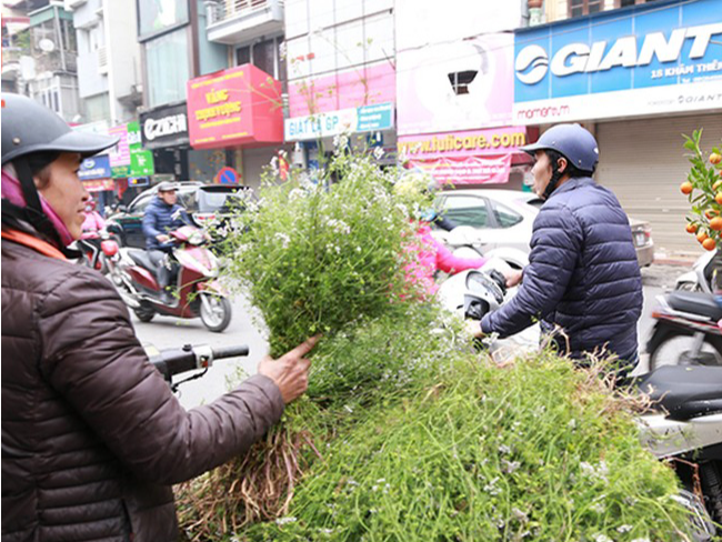 Những b&oacute; m&ugrave;i gi&agrave; tỏa m&ugrave;i thơm đặc trưng nơi g&oacute;c phố kh&ocirc;ng thể thiếu trong phi&ecirc;n chợ Tết. Ảnh: Lam Thanh