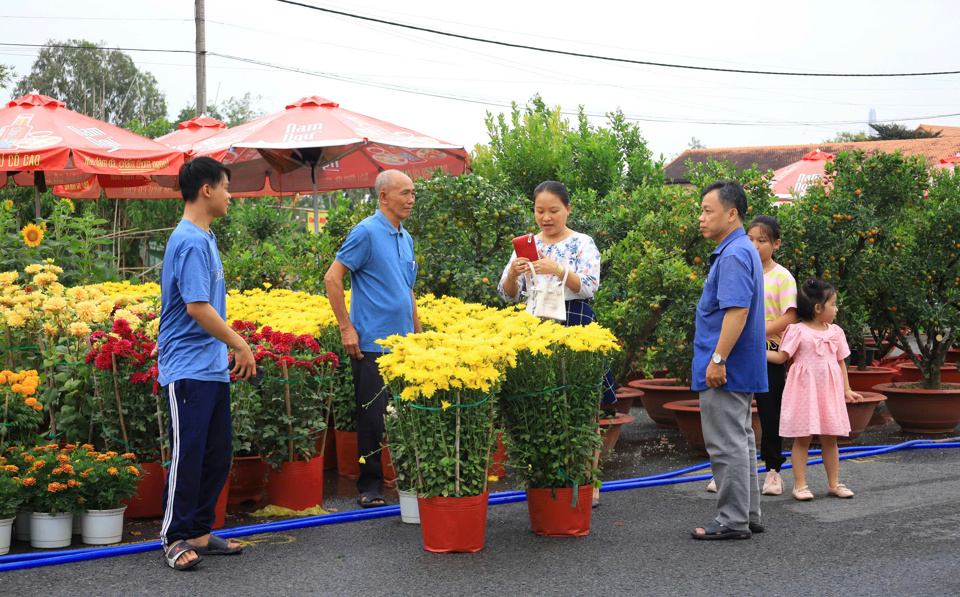 Điểm đặc biệt của chợ l&agrave; nh&agrave; vườn v&agrave; tiểu thương được miễn ph&iacute; to&agrave;n bộ chi ph&iacute; thu&ecirc; gian h&agrave;ng, điện, nước.