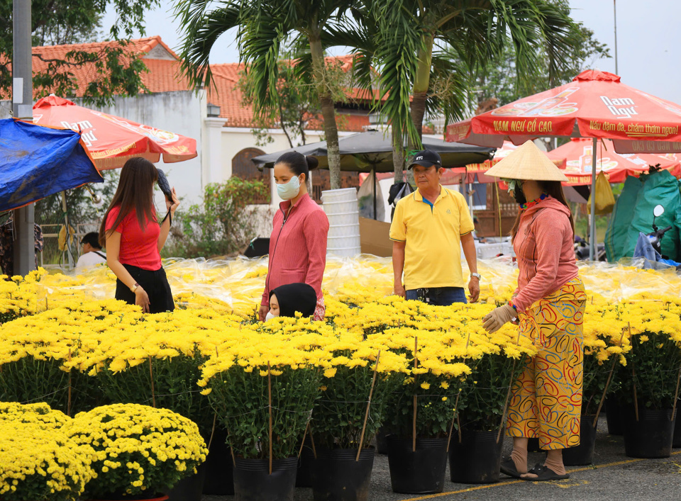 Chợ hoa "đặc biệt" ở Cần Thơ ngập tràn sắc xuân  - Ảnh 1