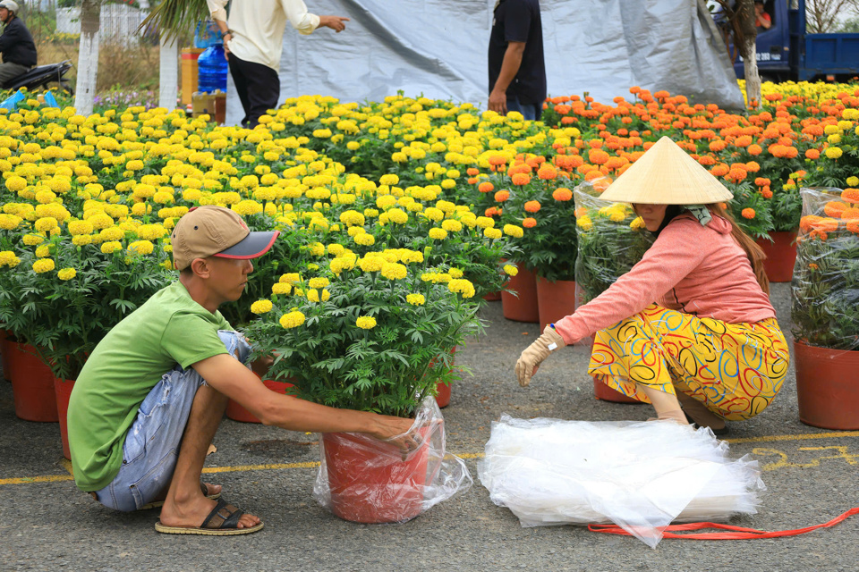 Chợ hoa "đặc biệt" ở Cần Thơ ngập tràn sắc xuân  - Ảnh 4