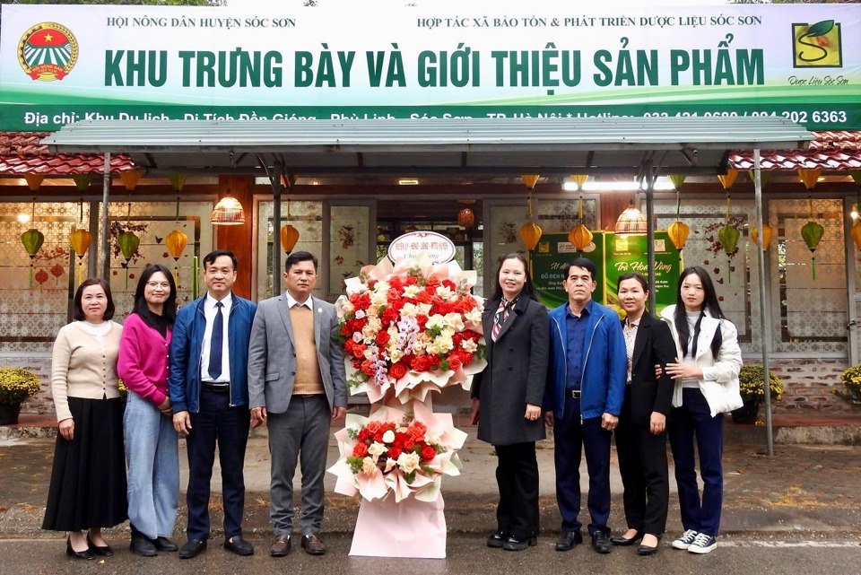 Khu trưng b&agrave;y v&agrave; giới thiệu sản phẩm tại khu&ocirc;n vi&ecirc;n Đền S&oacute;c.