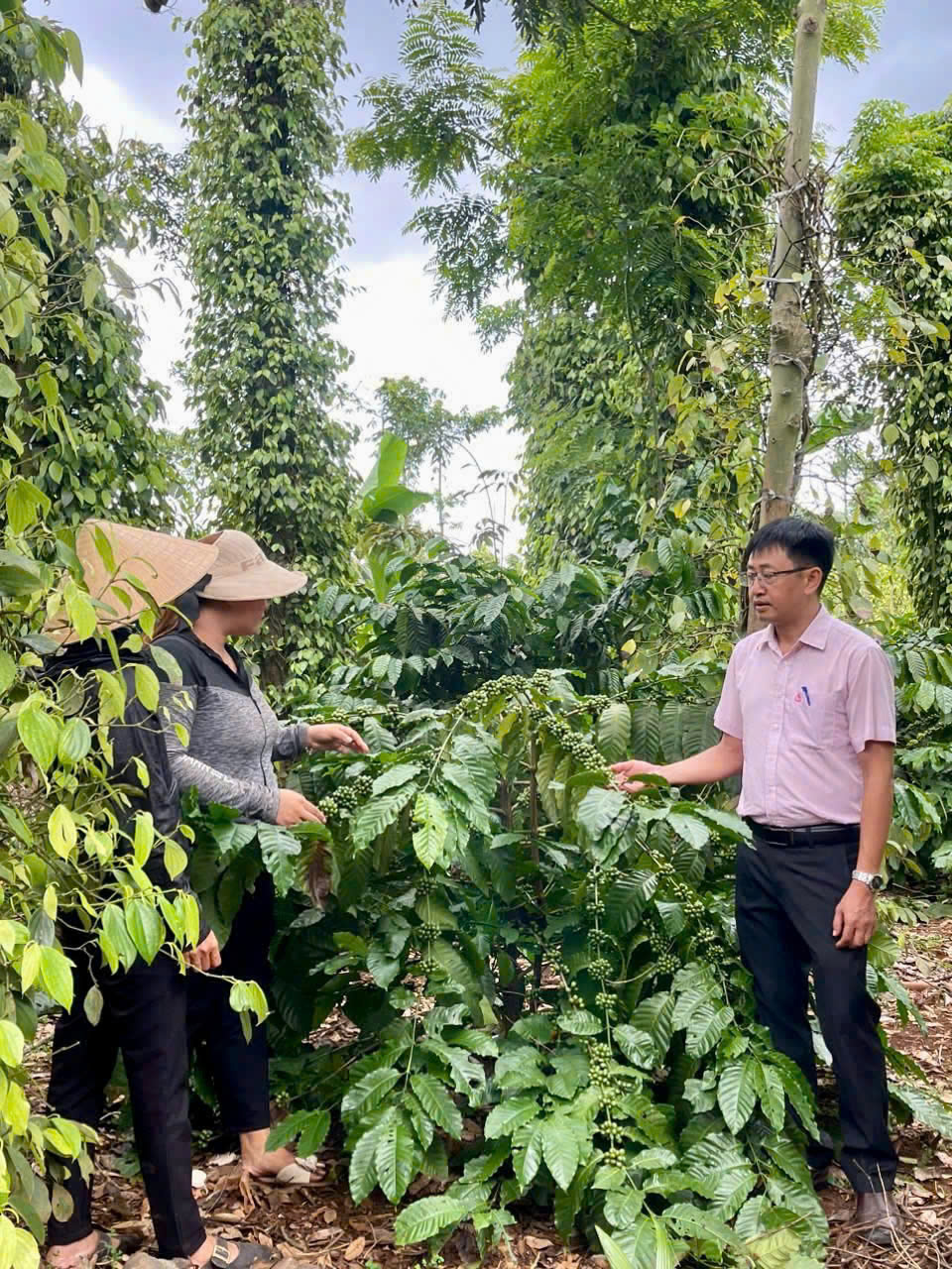 C&aacute;n bộ NHCSXH huyện Cư Kuin thăm m&ocirc; h&igrave;nh vay vốn chị H'Dul bu&ocirc;n Ti&ecirc;u, x&atilde; ea Ti&ecirc;u (huyện Cư Kuin, tỉnh Đắk Lắk).