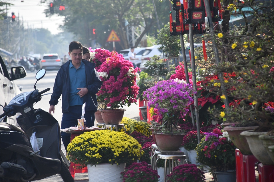 Những ng&agrave;y qua, chợ hoa Xu&acirc;n Ất Tỵ 2025 lớn nhất tỉnh Quảng Ng&atilde;i đ&atilde; ch&iacute;nh thức đi v&agrave;o hoạt động.