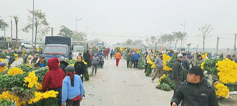 Chợ hoa T&acirc;y Tựu những ng&agrave;y cận Tết Nguy&ecirc;n đ&aacute;n.