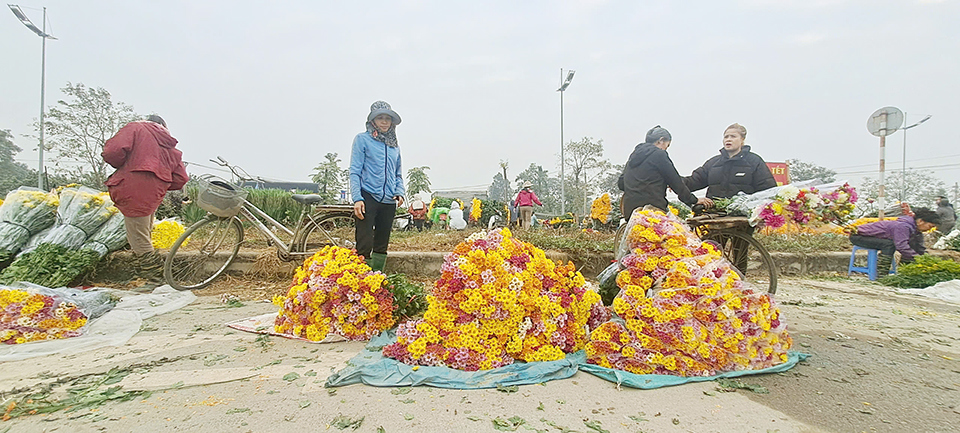 Đến thời điểm n&agrave;y, nhiều gia đ&igrave;nh đ&atilde; ti&ecirc;u thụ được hơn 2/3 số hoa phục vụ dịp Tết.