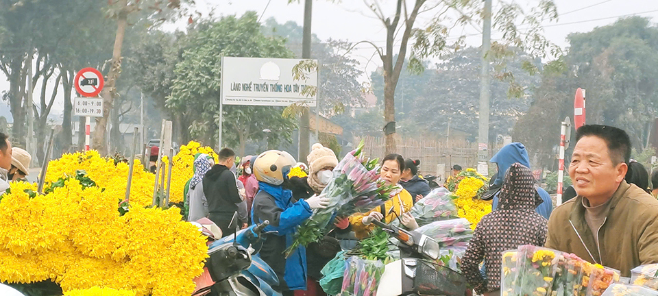 D&ugrave; bị ảnh hưởng b&atilde;o Yagi nhưng&nbsp;diện t&iacute;ch hoa của T&acirc;y Tựu vẫn đ&aacute;p ứng được sản lượng cung ứng thị trường, phục vụ cho người d&acirc;n Thủ đ&ocirc; chơi Tết.