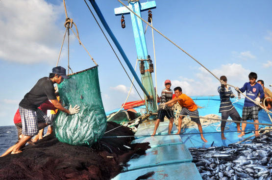 Phấn đấu gỡ cảnh b&aacute;o "Thẻ v&agrave;ng" hướng tới x&acirc;y dựng ng&agrave;nh thủy sản bền vững, hiệu quả.