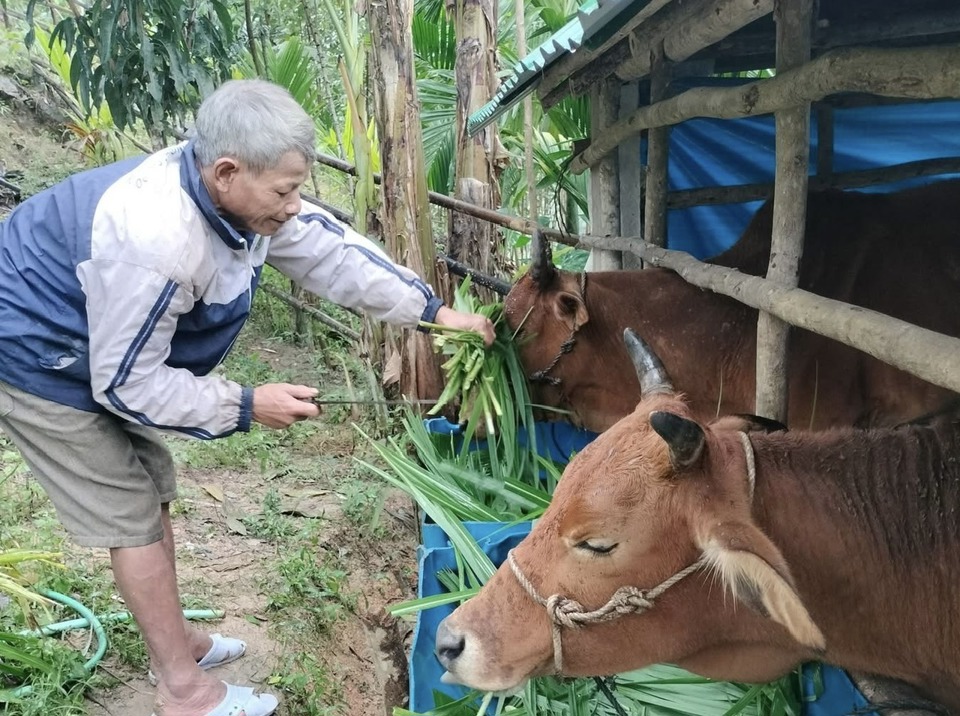 Người đồng b&agrave;o d&acirc;n tộc thiểu số được tạo nhiều điều kiện để ph&aacute;t triển kinh tế.