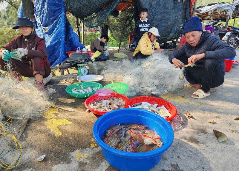 Chuyến đi biển đầu năm thắng lợi mang đến nhiều niềm vui, gi&uacute;p ngư d&acirc;n y&ecirc;n t&acirc;m b&aacute;m biển, b&aacute;m ngư trường