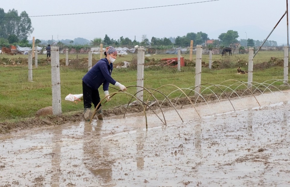 B&agrave; con n&ocirc;ng d&acirc;n huyện S&oacute;c Sơn gieo mạ sản xuất vụ Xu&acirc;n.